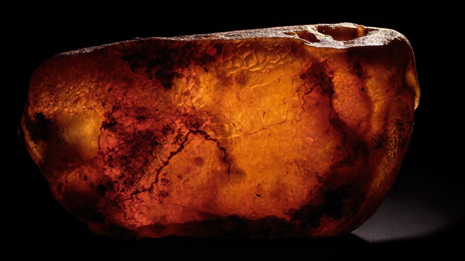 Raw Baltic amber glowing against black